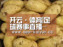产品展示标题6