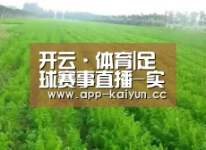 种植基地四
