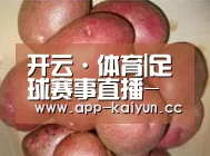 产品展示标题1