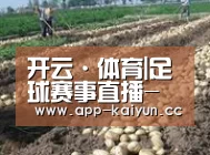 种植基地七(图1)