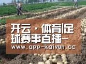 种植基地八